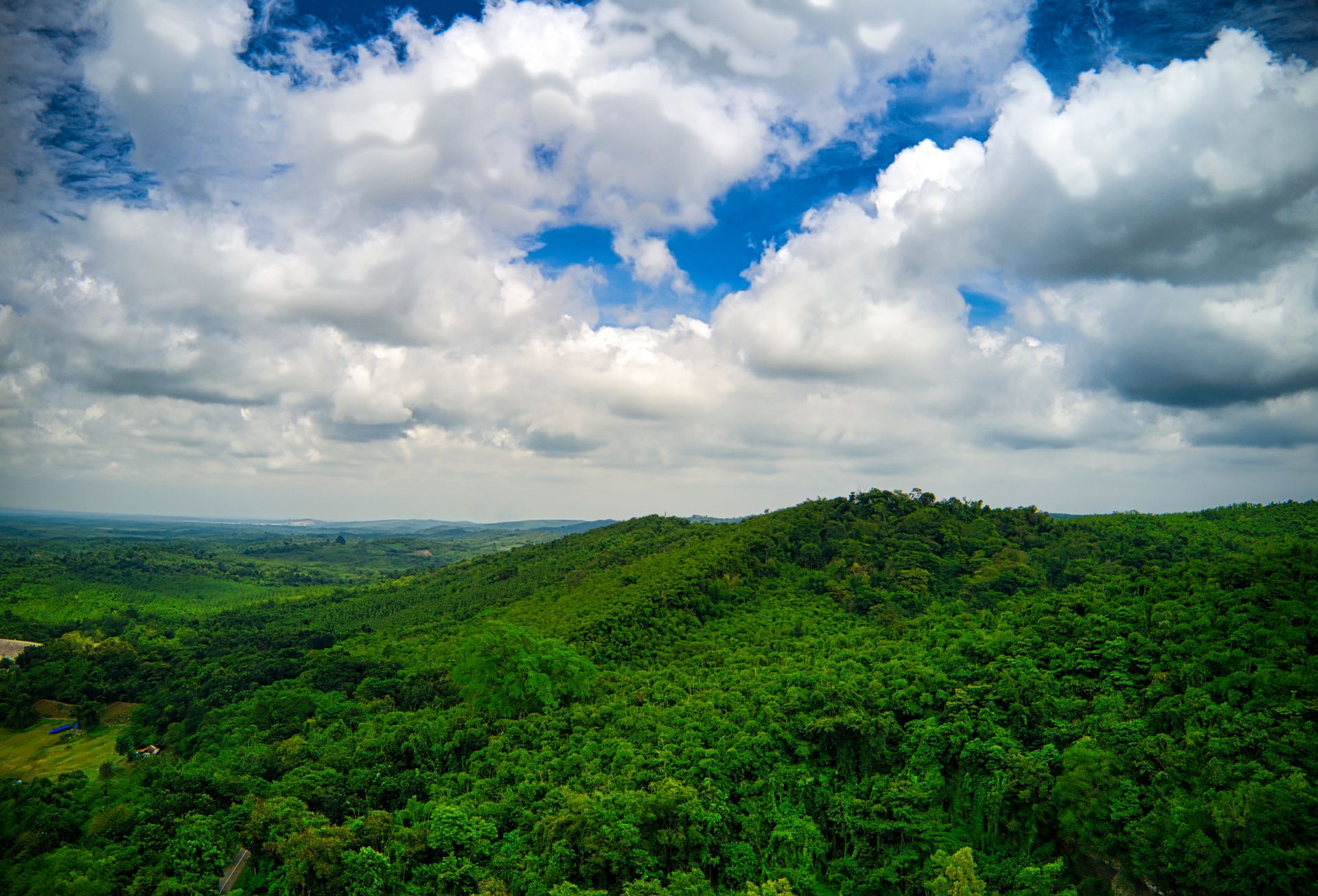 Meghalaya in the Monsoon: Living Root Bridges and the Wettest Place on Earth